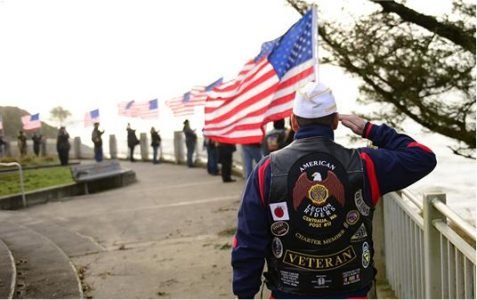 Picture (Device Independent Bitmap) 1