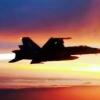 Flight to sunset 3
